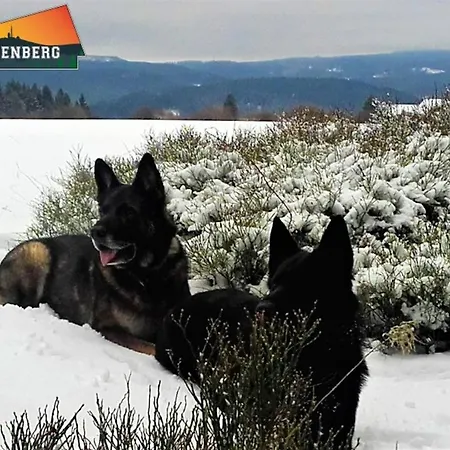 Schulenberg-apartment 1 Mit Kamin Appartement