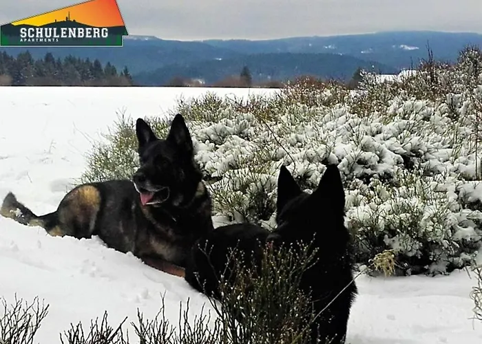 Schulenberg-apartment 1 Mit Kamin Апартаменты