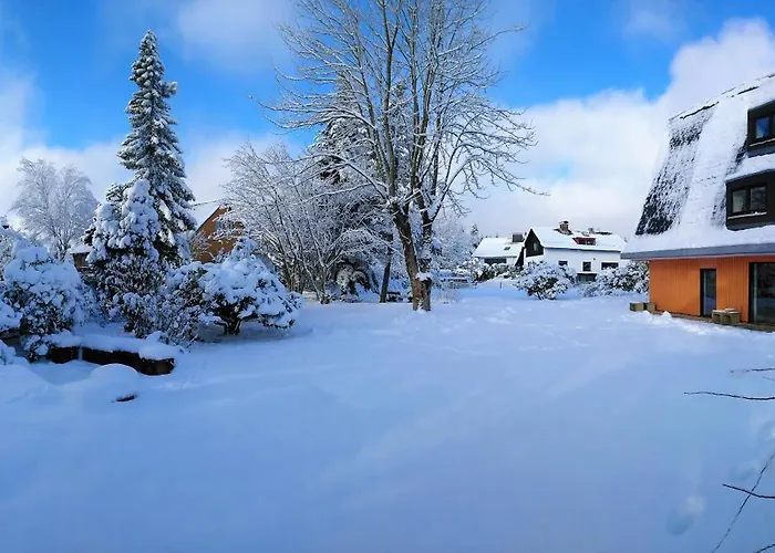 Schulenberg-apartment 1 Mit Kamin Апартаменты Шуленберг-им-Оберхарц